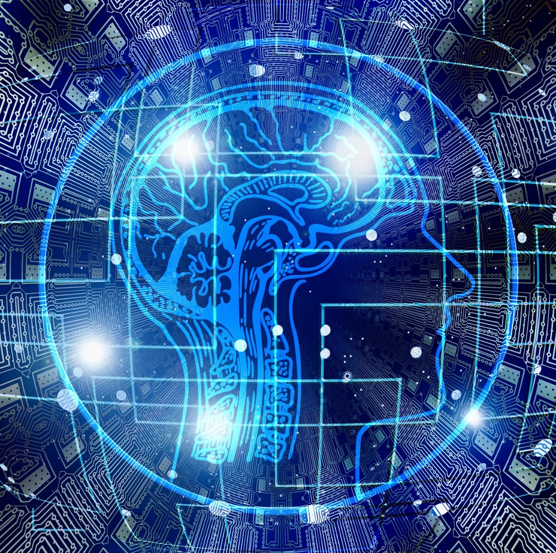 Inspiring Data Innovation from the Ground-Up case study visual